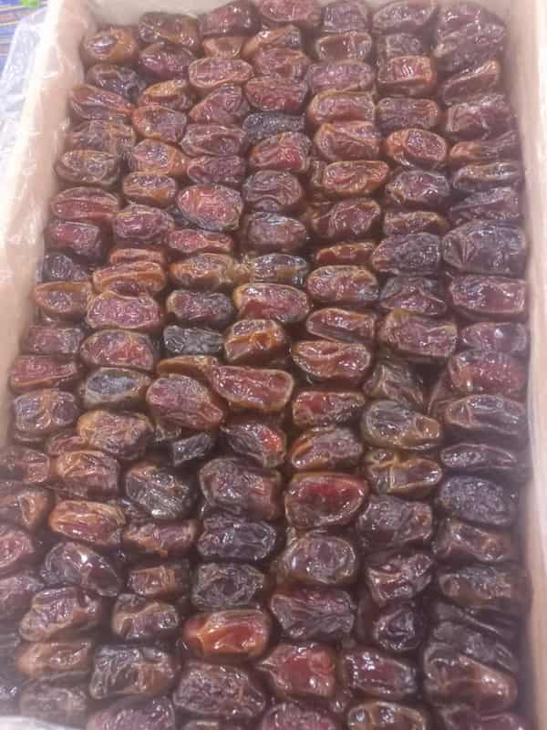 تصویر 2 از خرمای کبکاب محلی با طعم اصیل و شیرینی ماندگار نخلستان